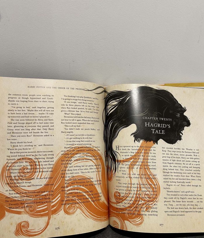 Harry Potter and the Order of the Phoenix - Jim Kay Illustrated Book - Image 4